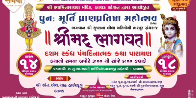 Bayad Mandir - Murti Prathishta